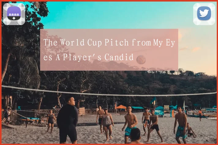 The World Cup Pitch from My Eyes A Player's Candid