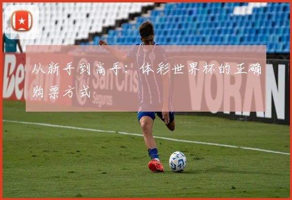 从新手到高手:体彩世界杯的正确购票方式