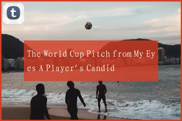 The World Cup Pitch from My Eyes A Player's Candid