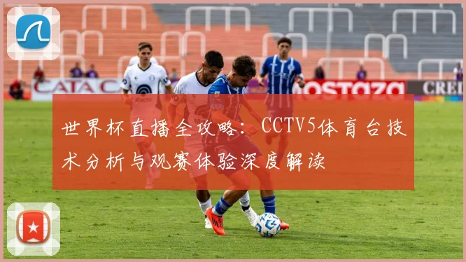 世界杯直播全攻略：CCTV5体育台技术分析与观赛体验深度解读