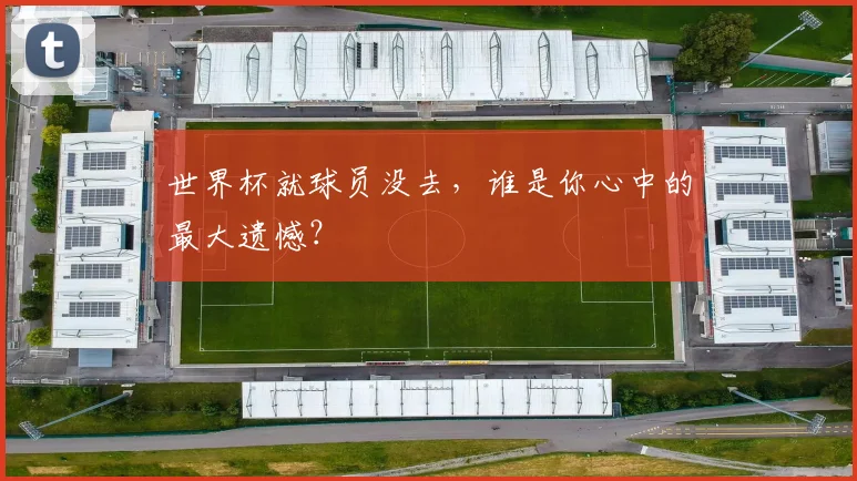 世界杯就球员没去,谁是你心中的最大遗憾?