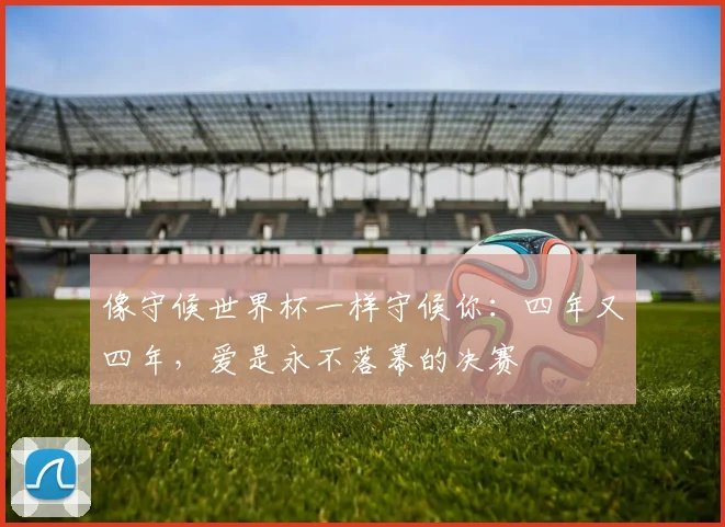 像守候世界杯一样守候你：四年又四年，爱是永不落幕的决赛