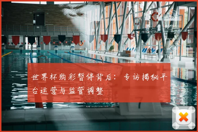 世界杯购彩暂停背后：专访揭秘平台运营与监管调整