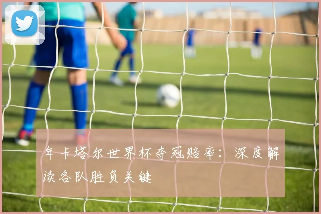年卡塔尔世界杯夺冠赔率：深度解读各队胜负关键