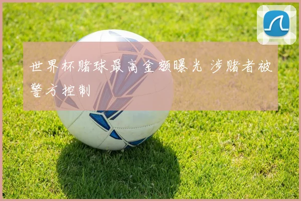 世界杯赌球最高金额曝光 涉赌者被警方控制