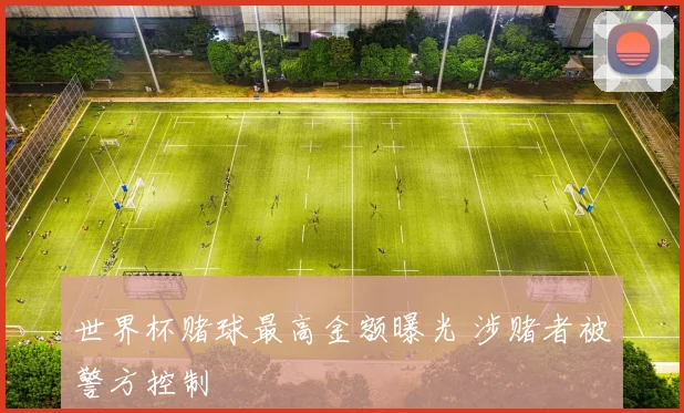 世界杯赌球最高金额曝光 涉赌者被警方控制