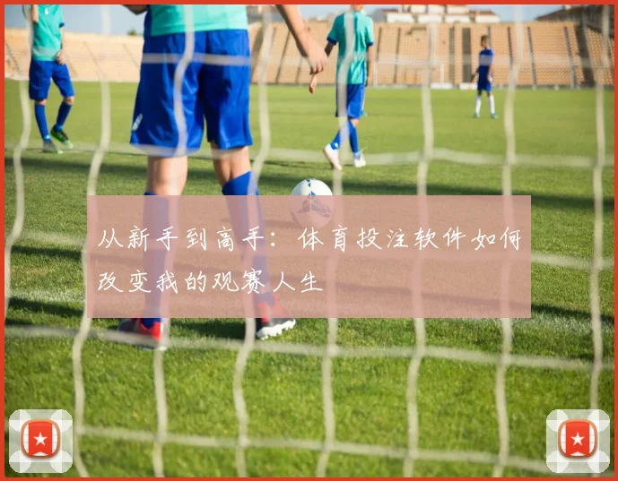 从新手到高手:体育投注软件如何改变我的观赛人生