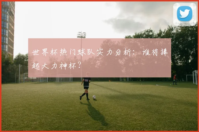 世界杯热门球队实力分析：谁将捧起大力神杯？